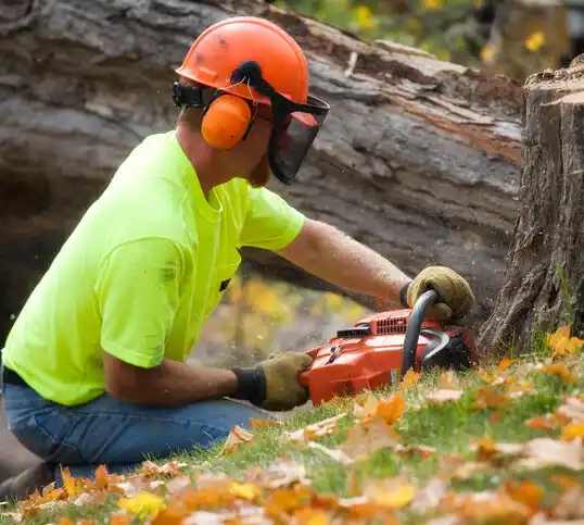 tree services Liberal